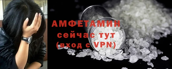 дмт Богданович