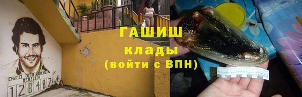 дмт Богданович