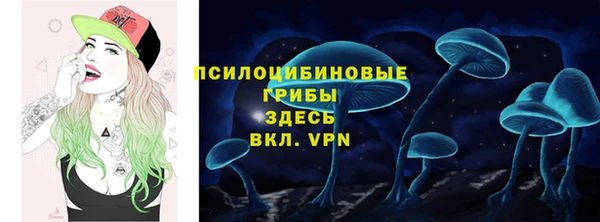 дмт Богданович
