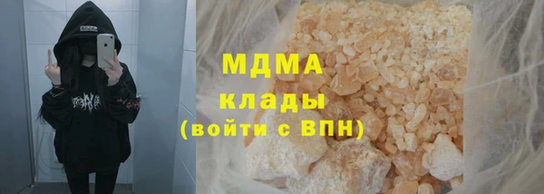 дмт Богданович