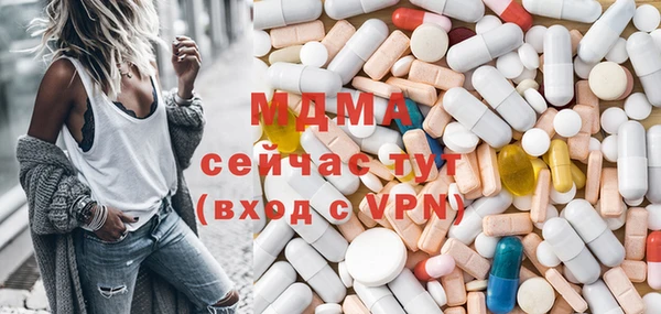 дмт Богданович