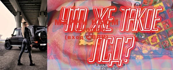 дмт Богданович