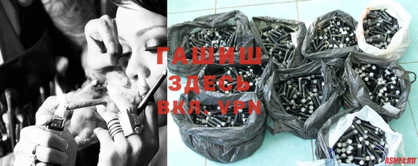 дмт Богданович